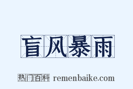 盲风暴雨是什么意思的图片